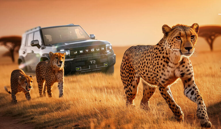 Jetour Auto dan Cheetah Conservation Fund, Meraih The Best 2024 Environment, Social, and Governance